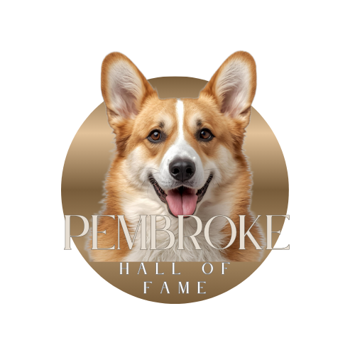 pembroke blank