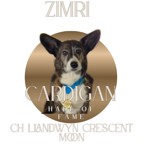 Zimri