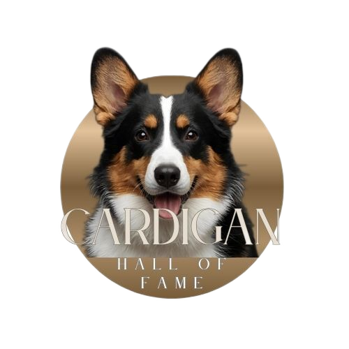 cardigan blank