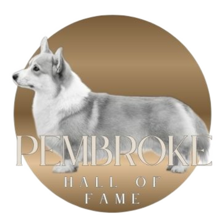 pembroke blank