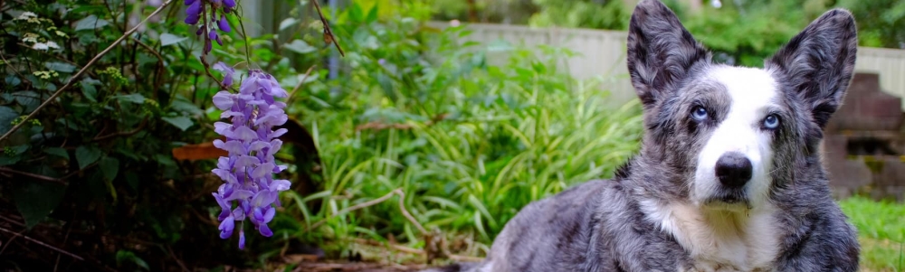 User banner image