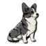 Cardigan Corgi icon